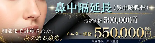 鼻中隔延長(鼻中隔軟骨) バナー