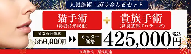 猫手術＋貴族手術 バナー