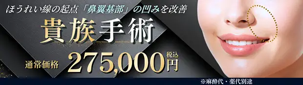 貴族手術 バナー