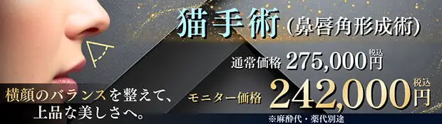 猫手術 バナー