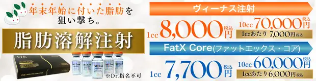 脂肪溶解注射　キャンペーンバナー