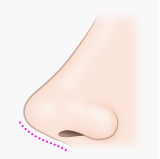 鼻柱(びちゅう) 鼻の高さ